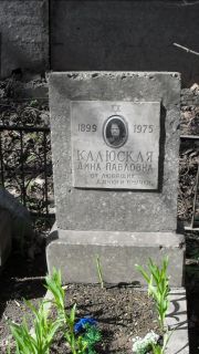 Калюская Дина Павловна, Москва, Востряковское кладбище