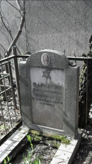 Файнберг Хася Ароновна, Москва, Востряковское кладбище