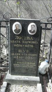 Шур Зелик Еселевич, Москва, Востряковское кладбище