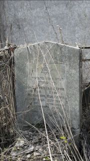 Гальперин Ефим Моисеевич, Москва, Востряковское кладбище