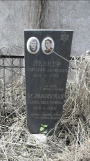 Левнер Григорий Аронович, Москва, Востряковское кладбище