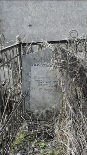 Бердичевский И. Г., Москва, Востряковское кладбище