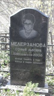 Мелерзанова Софья Львовна, Москва, Востряковское кладбище