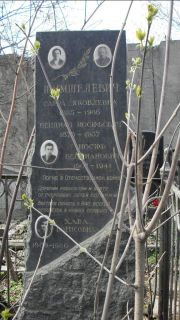 Шимшелевич Сарра Яковлевна, Москва, Востряковское кладбище