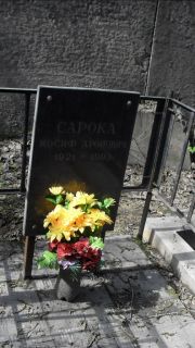 Сарока Иосиф Аронович, Москва, Востряковское кладбище