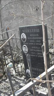 Майзлиш Фрейда Литмановна, Москва, Востряковское кладбище