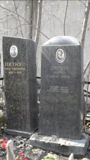 Питкус Софья Григорьевна, Москва, Востряковское кладбище