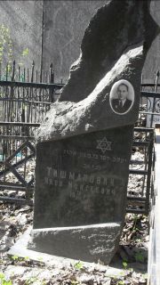 Тишманович Яков Моисеевич, Москва, Востряковское кладбище