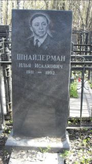 Шнайдерман Илья Исаакович, Москва, Востряковское кладбище
