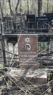 Гольдина Елизавета Рафаиловна, Москва, Востряковское кладбище