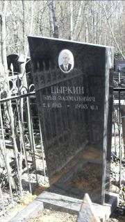 Цыркин Элья Залманович, Москва, Востряковское кладбище