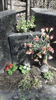 Личиницер Роза Михайловна, Москва, Востряковское кладбище