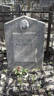 Пекелис Женя Давыдовна, Москва, Востряковское кладбище