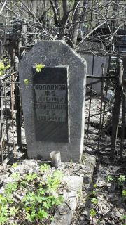 Холодная Ф. Б., Москва, Востряковское кладбище