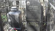 Дрейзина Софья Зусьевна, Москва, Востряковское кладбище