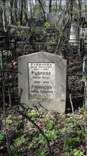 Рубинов Иосиф Ильич, Москва, Востряковское кладбище
