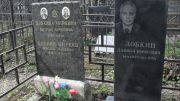 Добина-Миркина Евгения Абрамовна, Москва, Востряковское кладбище