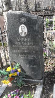 Либин Яков Львович, Москва, Востряковское кладбище