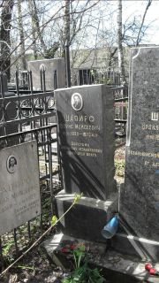 Шапиро Борис Моисеевич, Москва, Востряковское кладбище