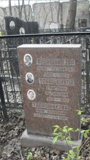 Табашникова Анна Лазаревна, Москва, Востряковское кладбище