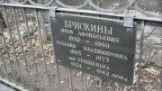 Брискин Яков Афонасьевич, Москва, Востряковское кладбище