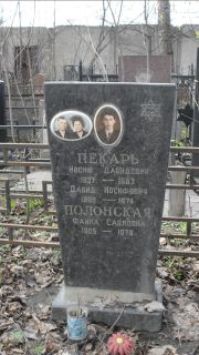 Пекарь Иосиф Давыдович, Москва, Востряковское кладбище