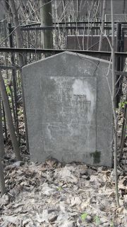 Шаевич Эсфирь Зельковна, Москва, Востряковское кладбище