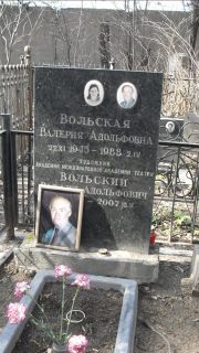 Вольский Рафаил Адольфович, Москва, Востряковское кладбище