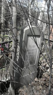 Рохлин Моисей Беркович, Москва, Востряковское кладбище