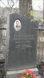 Тененбаум Семен Иосифович, Москва, Востряковское кладбище