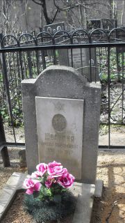 Шейнина Броха Абрамовна, Москва, Востряковское кладбище