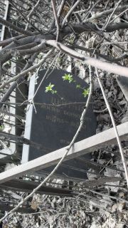 Цейтлин Иосиф Борисович, Москва, Востряковское кладбище