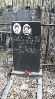 Кантор-Окунев Дмитрий Михайлович, Москва, Востряковское кладбище