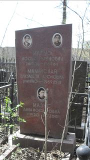 Малинская Елизавета Ароновна, Москва, Востряковское кладбище