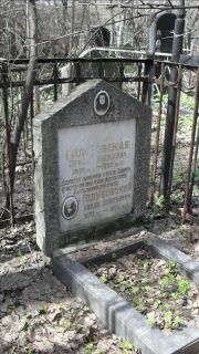 Голубовский Аврам Леонтьевич, Москва, Востряковское кладбище