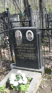 Глозман Геня Моисеевна, Москва, Востряковское кладбище