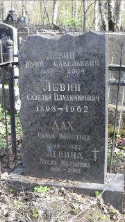 Левин Юрий Савельевич, Москва, Востряковское кладбище