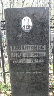 Левинтанус Абрам Моисеевич, Москва, Востряковское кладбище