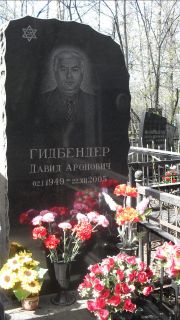 Гидбендер Давид Аронович, Москва, Востряковское кладбище