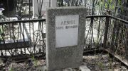 Левин Марк Абрамович, Москва, Востряковское кладбище