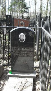 Тейтельбаум Анна Шнаевна, Москва, Востряковское кладбище