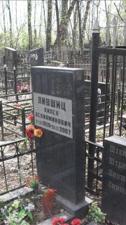 Лившиц Вилен Вениаминович, Москва, Востряковское кладбище