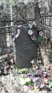 Рапопорт Израиль Абрамович, Москва, Востряковское кладбище