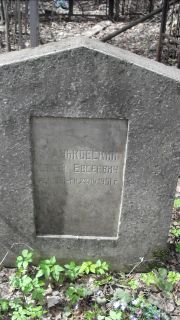 Маньковский Моисей Евсеевич, Москва, Востряковское кладбище