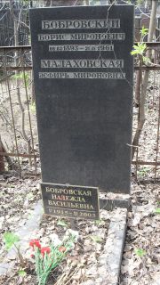 Бобровский Борис Миронович, Москва, Востряковское кладбище