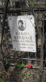 Фридман Илюша , Москва, Востряковское кладбище