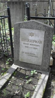 Шнейдерман Исаак Мосиеевич, Москва, Востряковское кладбище