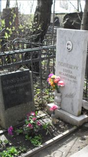 Бронфайн Ревекка Бенционовна, Москва, Востряковское кладбище