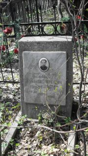 Шницер Соломон Борисович, Москва, Востряковское кладбище