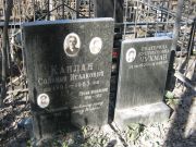 Каплан Соломон Исаакович, Москва, Востряковское кладбище